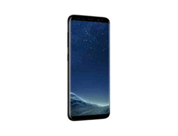 Samsung Mobile Galaxy S8 G950FD